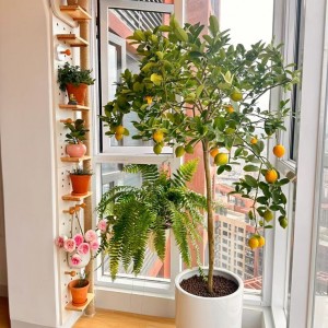 Tìm 1 Chị Làm Việc Ở Lại Lâu Dài Với Gia Đình Em Ở Đường Huỳnh Mẫn Đạt Quận 5