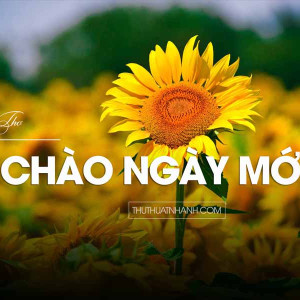 Sáng Nay Em Tìm Chị Giúp Việc Nhà Cho Nhà E Ở Gần Aeon Bình Tân
