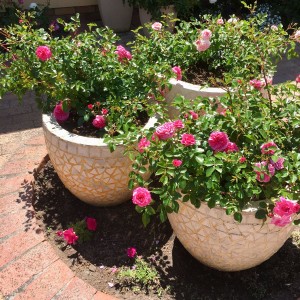 NHÀ CÓ 2 VỢ CHỒNG VÀ 1 CHÁU 6 TUỔI ĐANG  CẦN GẤP 1 CÔ GIÚP VIỆC NHÀ. BAO ĂN Ở