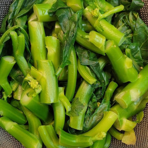 Lương 12trieu/tháng- cần tìm 1 cô người miền nào cũng được về phụ việc nhà giúp em 1 tay nha