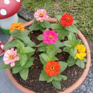 Tuyển gấp… Tuyển gấp nè các chị ơi nhanh tay nhấc máy gọi e Ngọc để đi làm nhé !!!