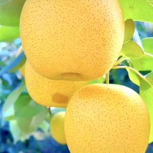 CẦN GẤP CÔ GIÚP VIỆC NHÀ & CHĂM ÔNG BÀ – QUẬN 7  LƯƠNG CAO 📞 Liên hệ: Luân – 0966 529 171