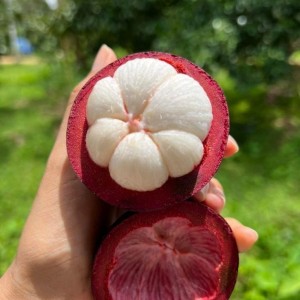 Em Rất Cần 1 Cô Về Làm Việc Nhà Bao Ăn Ở,  Nhà Ở Gần Hồ Con Rùa Quận 3.