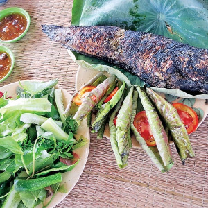 Cần Tìm Cô Người Miền Tây Về Giúp Việc Cho Gia Đình ( Bao Ăn Ở) Tại Đường Nguyễn Thị Nhỏ Quận 11