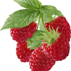 Tuyển gấp 1 cô chăm bé giỏi , có kinh nghiệm đi làm bao ăn ở lại ạ