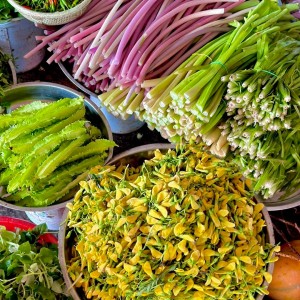Hôm nay em đang cần tìm gấp một chị giúp việc chuyên nấu ăn và dọn dẹp cho gia đình 4 người lớn