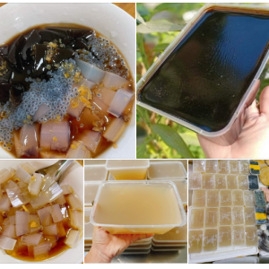 TÌM CHỊ GIÚP VIỆC NHÀ NẤU ĂN - LƯƠNG 10TR - Ở LẠI UẬN BÌNH THẠNH