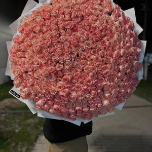 𝑵𝑯𝑨̀ 𝑪𝑶́ 𝑩𝑨̀ 60 𝑻𝑼𝑶̂̉𝑰 𝑪𝑨̂̀𝑵 𝑪𝑶̂ 𝑽𝑬̂̀ 𝑳𝑨̀𝑴 𝑽𝑰𝑬̂𝑪 𝑵𝑯𝑨̀ , 𝑵𝑨̂́𝑼 𝑨̆𝑵 𝑪𝑯𝑶 𝑩𝑨̀ !!