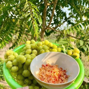 Em đang tuyển gấp 1 cô giúp việc nhà đi làm bao ăn ở lại ạ