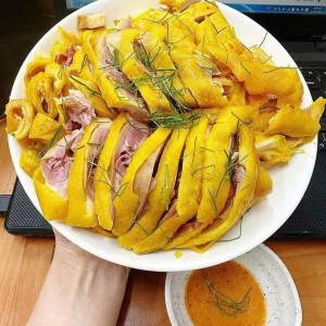 Cần người chăm bầu ạ