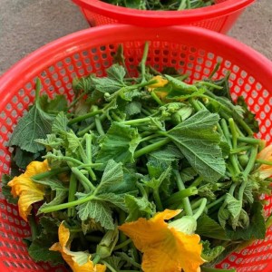 Các chị ơi, gia đình bận rộn ở văn phòng không có nhiều thời gian để dọn dẹp nhà cửa nên tuyển ngay 1 chị đi làm luôn trong sáng nay nha.