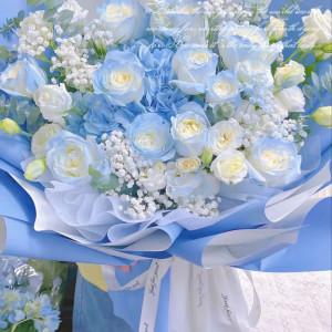 Tuyển gấp 1 cô chuyên giúp việc nhà đi làm bao ăn ở lại ạ