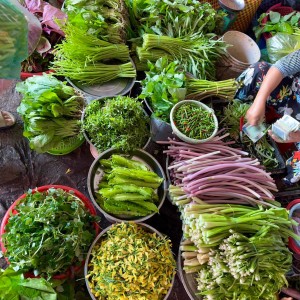 GIA ĐÌNH Ở NGAY CHỢ LONG KIỂNG QUẬN 4 – TÌM CHỊ GIÚP VIỆC NHÀ ( BAO ĂN Ở )