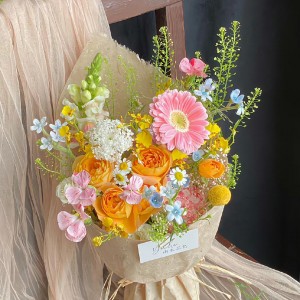 Hôm Nay Tìm Cô Người Miền Nào Cũng Được Về Làm Việc Nhà Cho Đôi Vợ Chồng Trẻ Mới Cưới