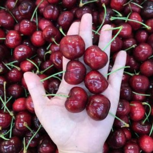 Cần 1 Cô Làm Đi Về Ạ