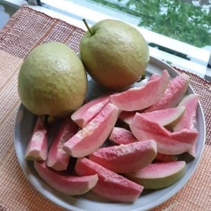 Gia Đình Em Đang Tuyển Gấp Ạ