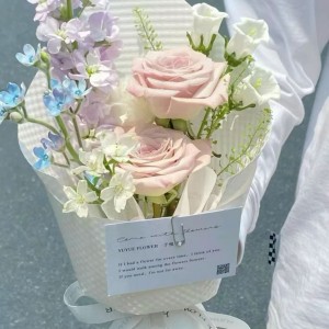 Tuyển chị giúp việc nhà làm ở lại trên đường Bình Qưới Quận Bình Thạnh