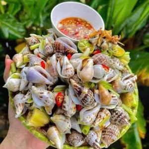 Tuyển gấp 1 cô chuyên chăm bé giỏi ạ