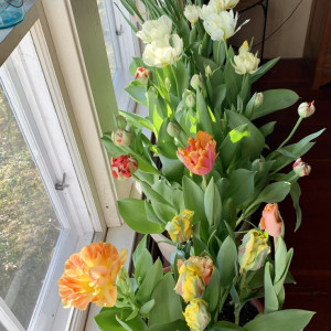 Góc tìm cô giúp việc nhà làm ở lại cho nhà em ở Phạm Phú Thứ Quận 6.