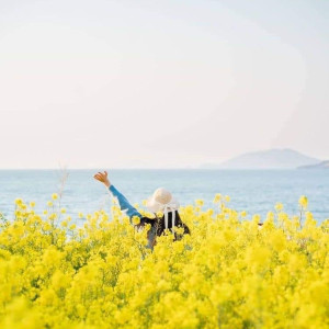 TÌM CHỊ GIÚP VIỆC NHÀ Ở LẠI - LƯƠNG 10TR - Q. PHÚ NHUẬN