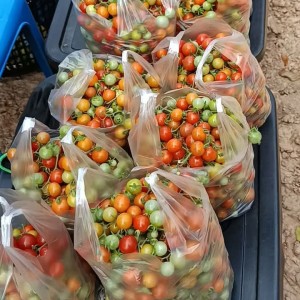 𝐓𝐑𝐎𝐍𝐆 𝐇𝐎̂𝐌 𝐍𝐀𝐘 𝐂𝐎́ 𝐂𝐇𝐈̣ 𝐍𝐀̀𝐎 Đ𝐈 𝐋𝐀̀𝐌 𝐋𝐔𝐎̂𝐍 Đ𝐔̛𝐎̛̣𝐂 𝐊𝐇𝐎̂𝐍𝐆 ! 𝐄𝐌 𝐓𝐈̀𝐌 𝐆𝐀̂́𝐏 𝐌𝐎̣̂𝐓 𝐂𝐇𝐈̣ 𝐕𝐄̂̀ 𝐋𝐀̀𝐌 𝐕𝐈𝐄̣̂𝐂 𝐍𝐇𝐀̀ 𝐂𝐇𝐎 𝐆𝐈𝐀 Đ𝐈̀𝐍𝐇