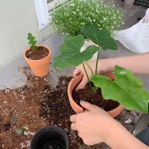 Nhà Mặt Phố Có 2 Lầu Nhỏ 43m2 Ở Sơn Kỳ- Tân Phú. Tuyển Gấp Cô Gvn Đi Làm Ngay Hôm Nay