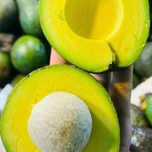 📣 CẦN GẤP 1 CÔ NẤU ĂN CHO CÔNG TY 🍲