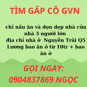 TÌM GẤP CÔ GIÚP VIỆC NHÀ  CHO GIA ĐÌNH 3 NGƯỜI LỚN Ở TRÊN ĐƯỜNG NGUYỄN TRÃI QUẬN 5