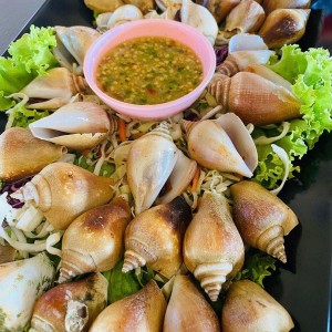 Gia đình em đang cần gấp ạ