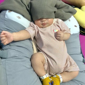 Cần tuyển cô chăm bé 7 tháng tại chung cư Plaza Nguyên Hồng, Gò Vấp,