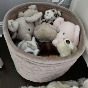 Trong hôm nay em cần gấp chị chuyên chăm bé lương 14 triệu ở chung cư Rivera Point Quận 7 ạ