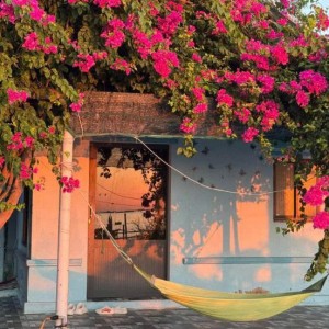Gia đình em đang cần người làm ạ