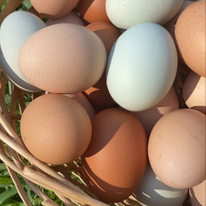 Cần Tìm Cô Dưới 50 Tuổi Về Dọn Dẹp Nhà Cửa Cho Gia Đình Có 4 Người Lớn Tại Đường Huỳnh Mẫn Đạt Quận 5