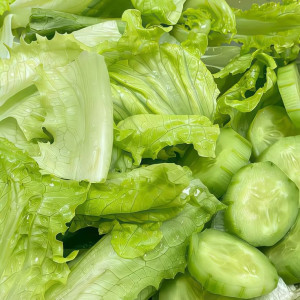 GIA ĐÌNH TOÀN NGƯỜI LỚN THƯỜNG XUYÊN BẬN RỘN CÔNG VIỆC CẦN CÔ VỀ PHỤ GIÚP VIỆC NHÀ