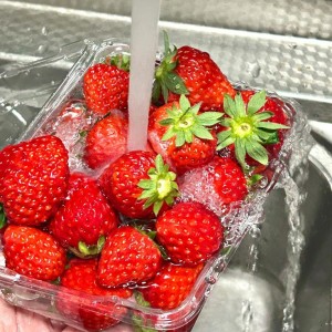 Các Chị Ơi, Em Thật Sự Cần Một Cô Giúp Việc Chịu Khó Hiền Lành Chị Nào Biết Thì Giới Thiệu Cho Em Với Ạ