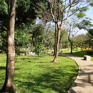 Gần công viên Phú Lâm tìm cô giúp việc nhà (bao ăn ở) di làm ngay luôn nha