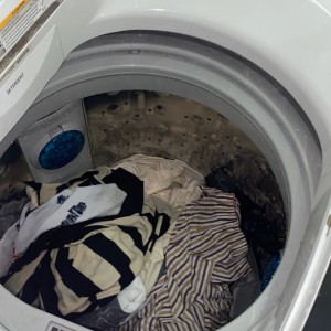 Nhà Con Đang Cần Cô Phụ Giúp Việc Đi Làm Ngay Hôm Nay Tại Đường Út Tịch Quận Tân Bình