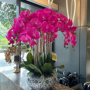 Tuyển Ngay Cô Giúp Việc Nhà Lương Cao Tại Sài Gòn, Mức Lương Từ 13 Triệu Trở Lên