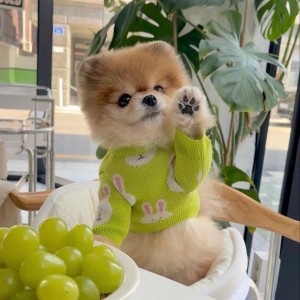 Cô nào cân việc cứ alo e nha