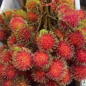 Gấp lắm rồi mấy chị ơi.Cần chị giúp việc về phụ lau dọn nhà cửa.
