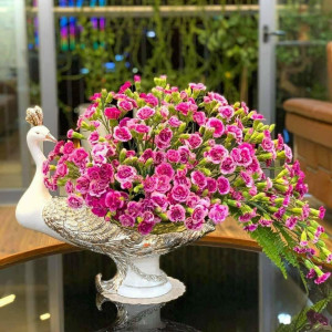 Nhà Em Chỉ Có 1 Lầu Ở Quận 10 Ngay Chợ Hồ Thị Kỉ. Cần Cô Gv Về Nhà Bao Ăn Ở