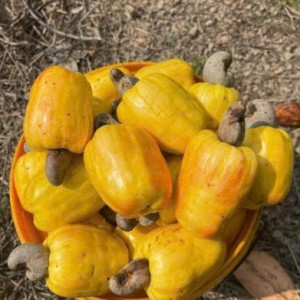 Tuyển gấp 1 cô chuyên chăm bé bao ăn ở lại ạ