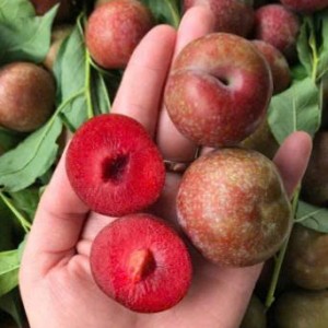 Gia Đình Em Cần Người Làm Ạ