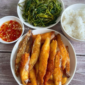 Nhà em cần gấp cô giúp việc nhà tại Quận 4, lương từ 12 triệu.