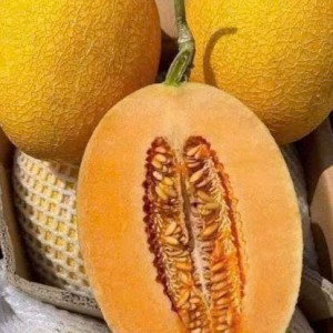 Tuyển gấp 1 cô chuyên giúp việc nhà bao ăn ở lại