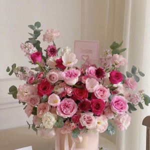 Tìm gấp cô về nấu ăn và dọn dẹp nhà cửa ở ngay Dinh Độc Lập Quận 1