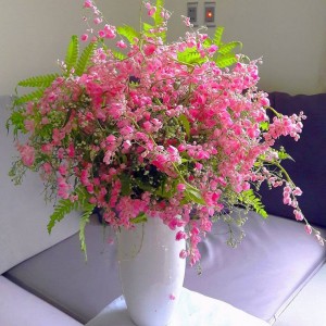 Các cô các chị ơi nay em cần tìm ngay 1 chị đến phụ việc nhà giúp 2 vợ chồng trẻ tại quận 5