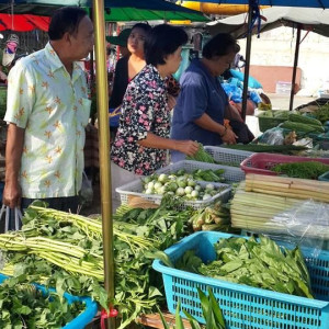 Nhà có 2 vợ chồng em mới chuyển ra riêng cần tìm gấp 1 chị giúp việc bao ăn ở lại