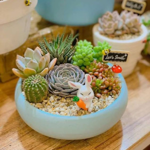 Trong Hôm Nay Em Cần Cô Về Làm Việc Nhà Cho 3 Người Lớn Ở Võ Thị Sáu Quận 3