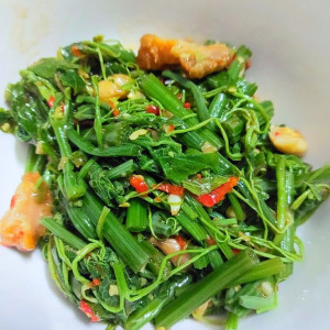 Nhà em đang cần gấp 1 cô gvn bao ăn ở ngay đường Gò Dầu- Tân Phú